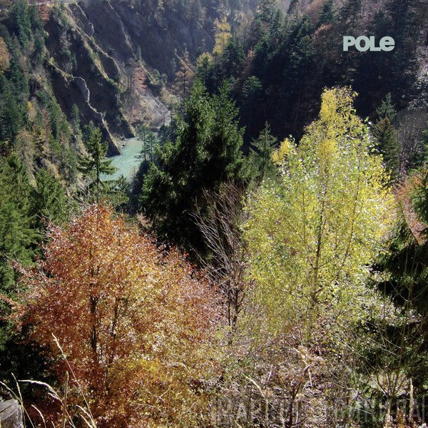 Pole  - Wald