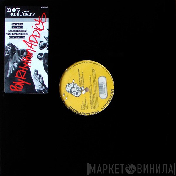 Polyrhythm Addicts - Not Your Ordinary