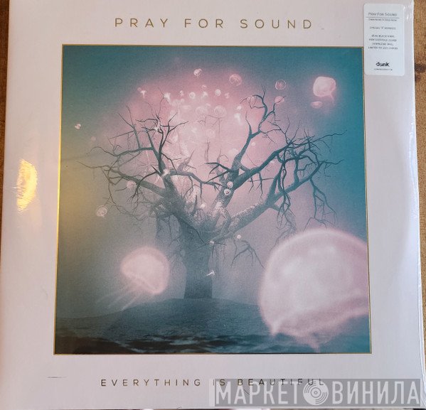Pray For Sound  - Everything Is Beautiful