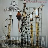 Primordial Undermind - Yet More Wonders Of The Invisible World