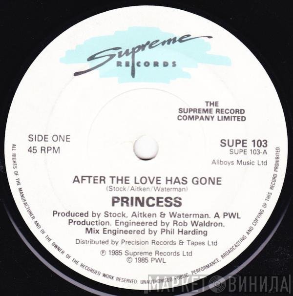 Princess - After The Love Has Gone