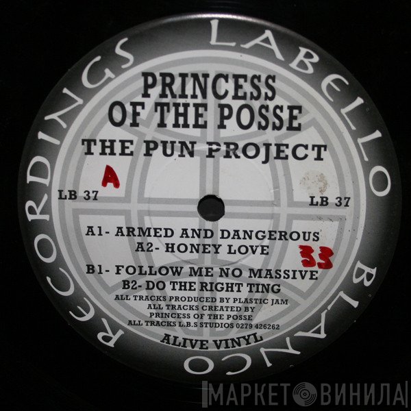 Princess Of The Posse - The Pun Project