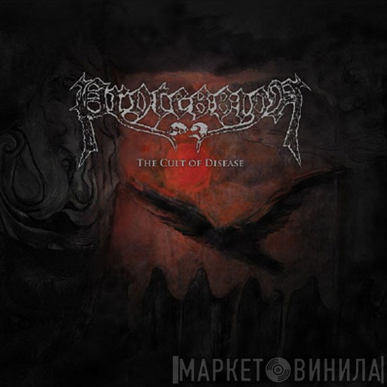 Procession  - The Cult Of Disease