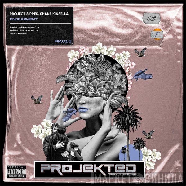 Project 8  Pres. Shane Kinsella   - Endearment
