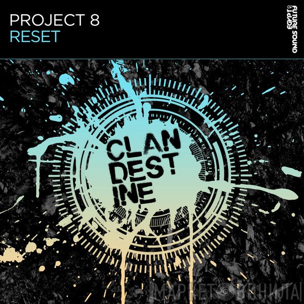 Project 8   - Reset