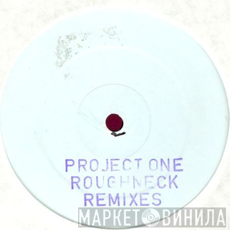 Project One  - Roughneck Remixes