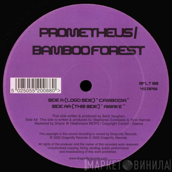 Prometheus / Bamboo Forest  - Cambodia / Awake
