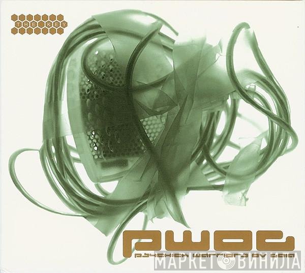 Psychick Warriors Ov Gaia  - The Key