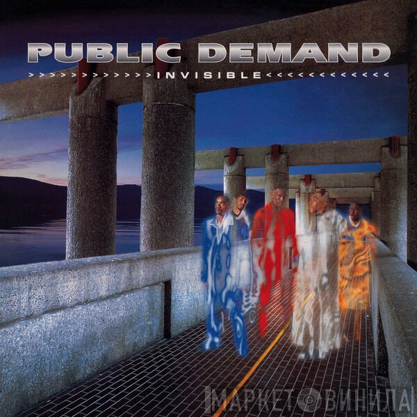 Public Demand  - Invisible