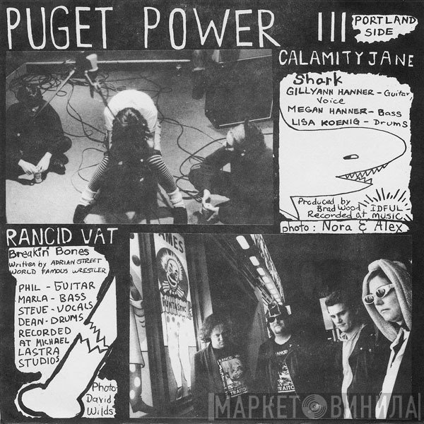  - Puget Power III