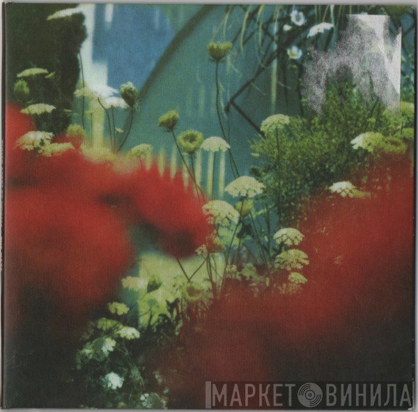 Pulled Apart By Horses - The Haze