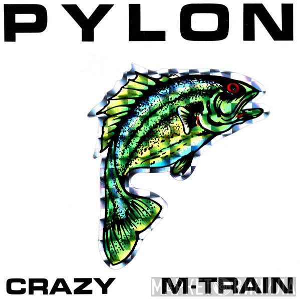 Pylon   - Crazy / M-Train