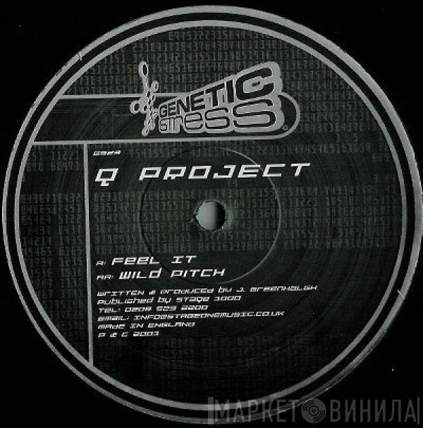 Q Project - Feel It / Wild Pitch