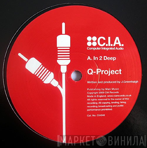 Q Project  - In 2 Deep