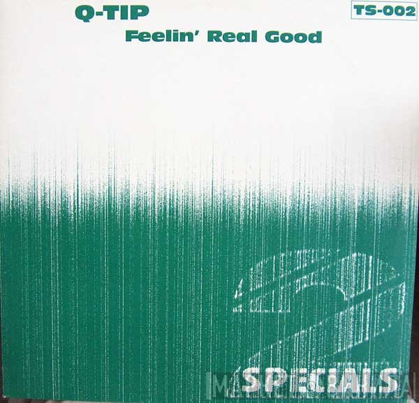 Q-Tip  - Feelin' Real Good