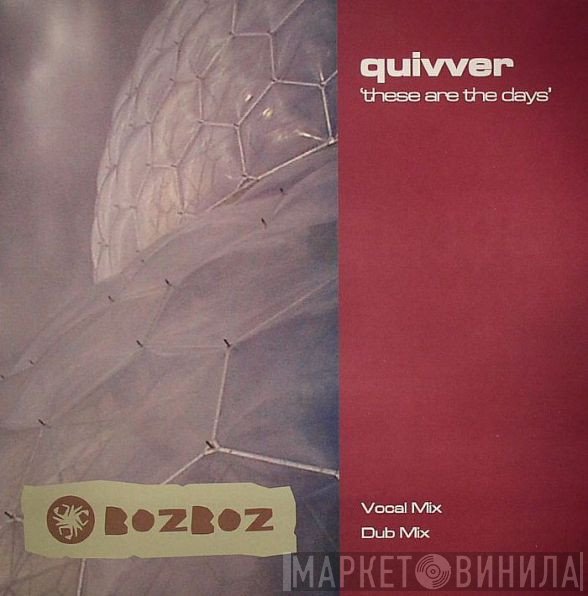 Quivver - These Are The Days