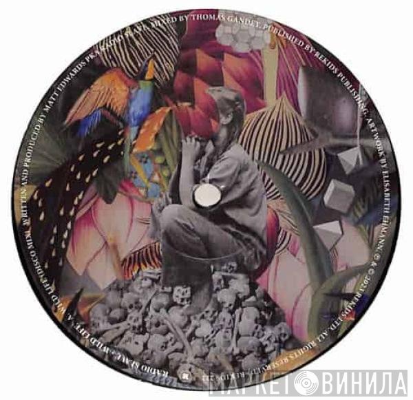 Radio Slave - Wild Life