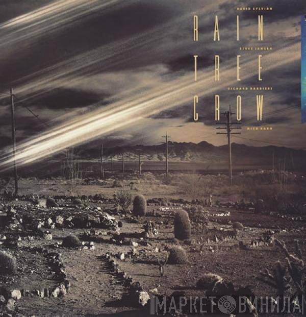 Rain Tree Crow  - Rain Tree Crow