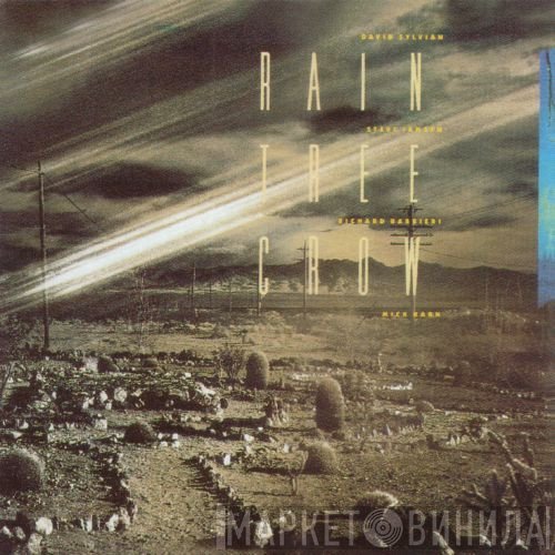 Rain Tree Crow  - Rain Tree Crow