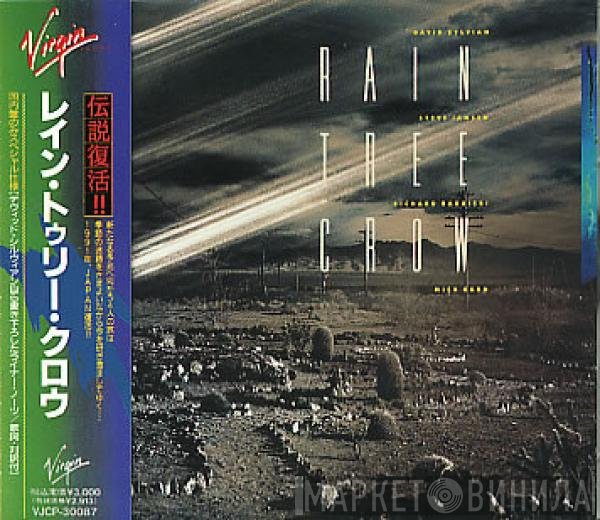 Rain Tree Crow  - Rain Tree Crow