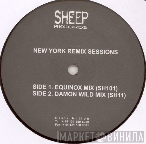 Raoul Delgardo, David Paxton - New York Remix Sessions