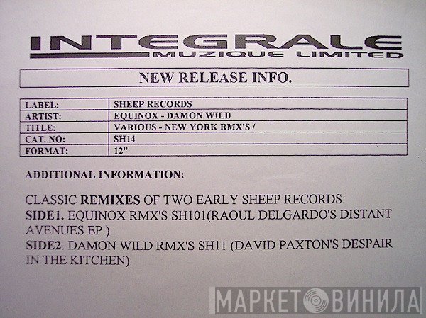 Raoul Delgardo, David Paxton - New York Remix Sessions