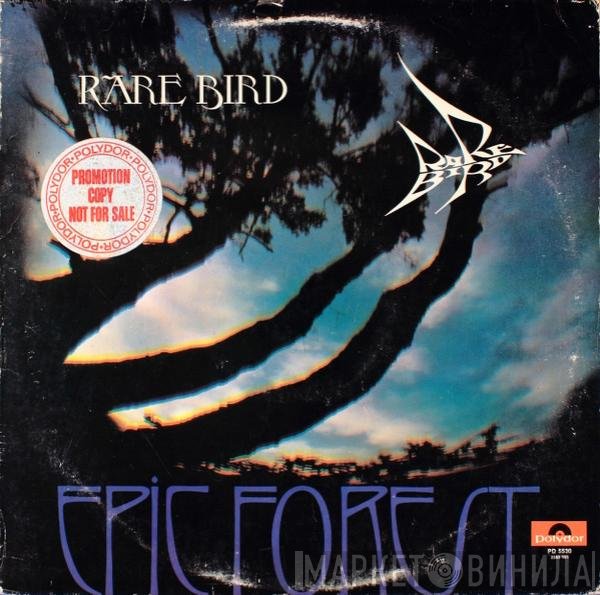 Rare Bird  - Epic Forest