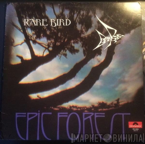 Rare Bird  - Epic Forest