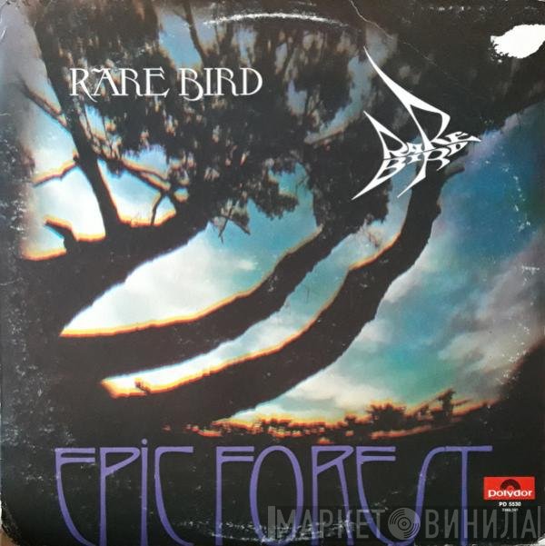 Rare Bird  - Epic Forest