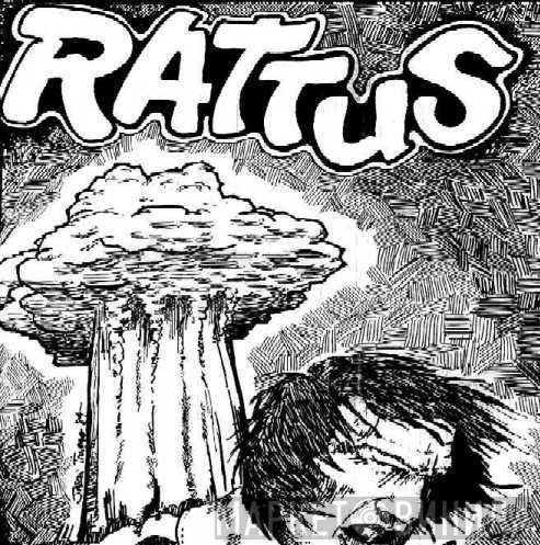 Rattus  - Rattus