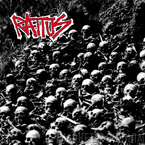Rattus  - Rattus
