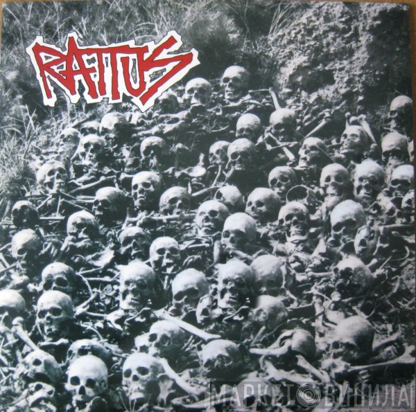 Rattus  - Rattus