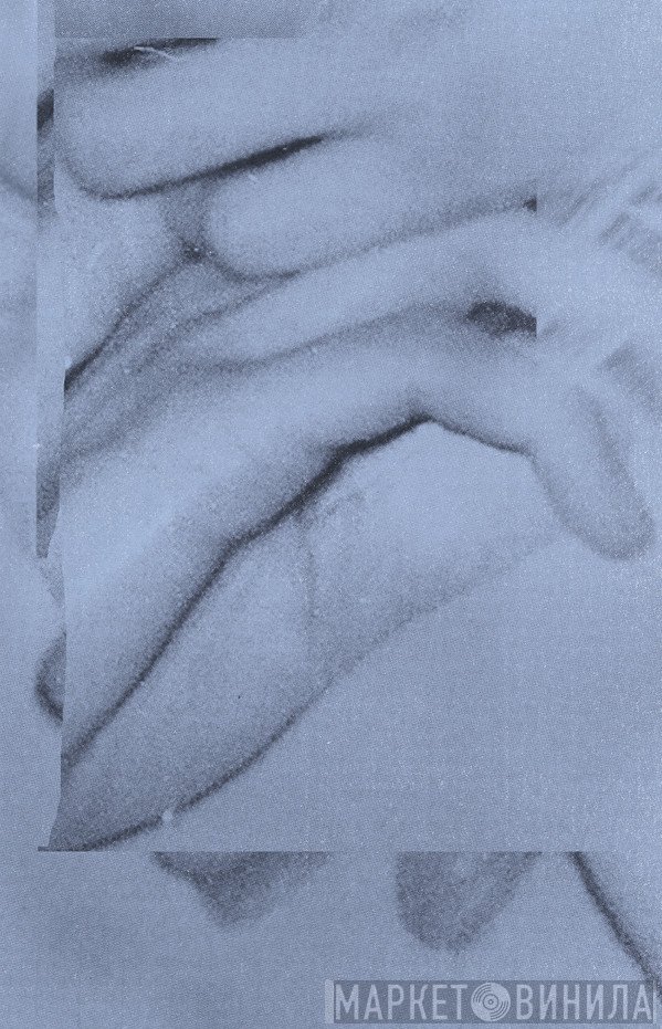 Rayon Vert - Meshes of the Afternoon