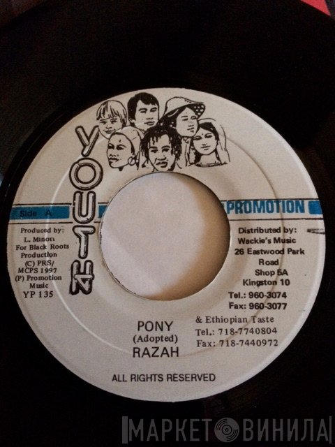 Razah  - Pony