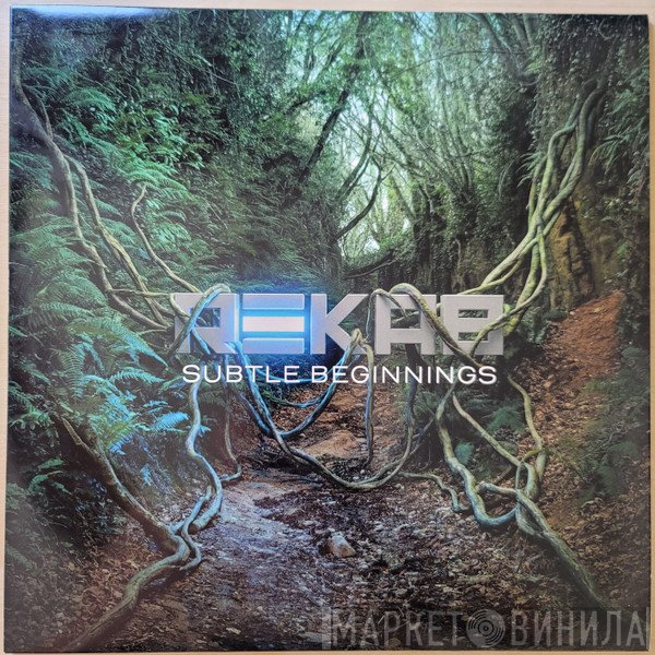 ReKaB  - Subtle Beginnings