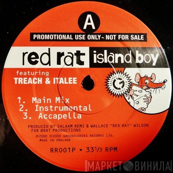 Red Rat - Island Boy