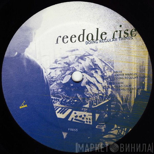 Reedale Rise - Doing Regular Things