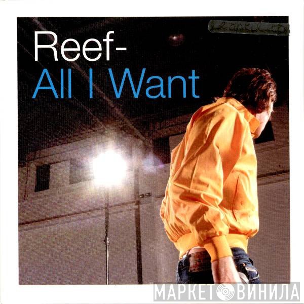 Reef  - All I Want