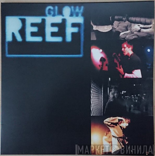 Reef - Glow