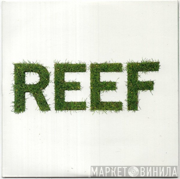 Reef - I've Got Something To Say