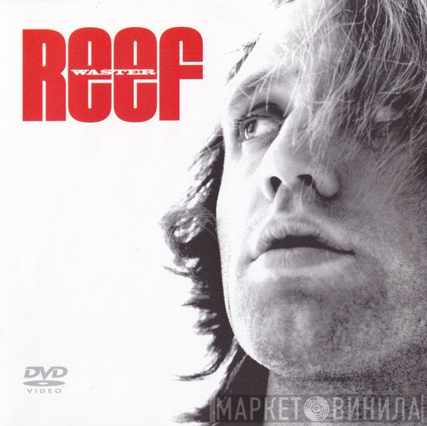 Reef  - Waster
