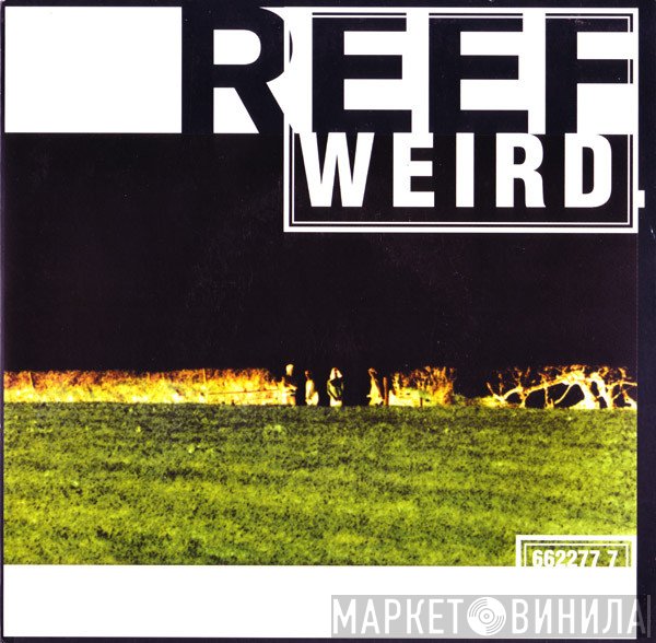 Reef  - Weird