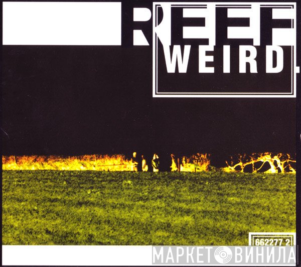 Reef - Weird