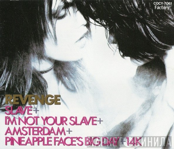 Revenge  - Slave