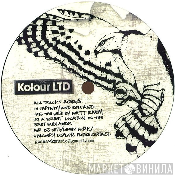 Rhythm Plate, Goshawk  - From The Woods EP