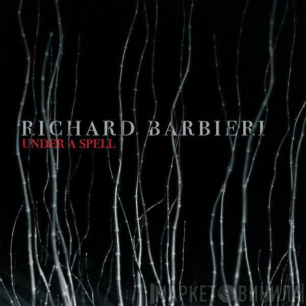 Richard Barbieri  - Under A Spell