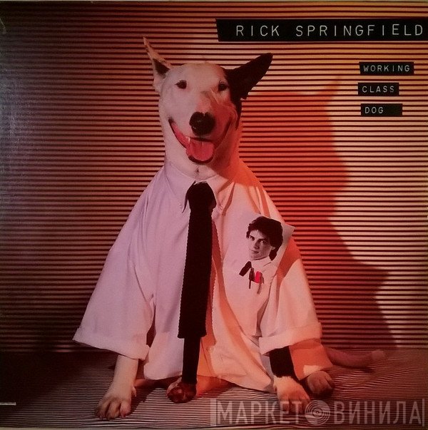Rick Springfield  - Working Class Dog