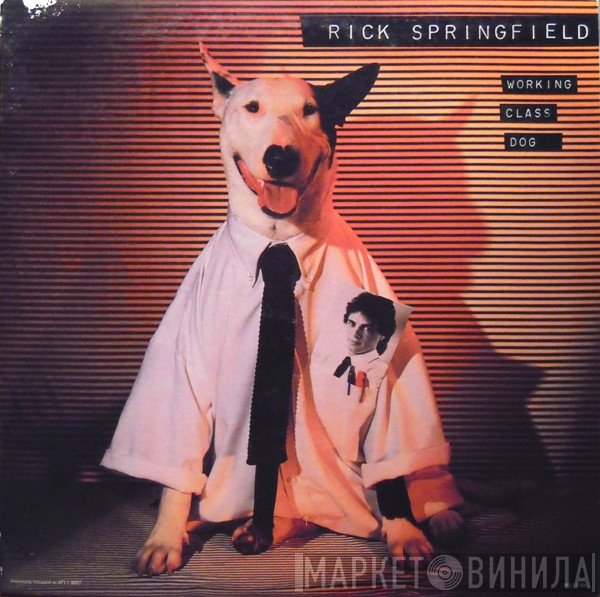 Rick Springfield  - Working Class Dog