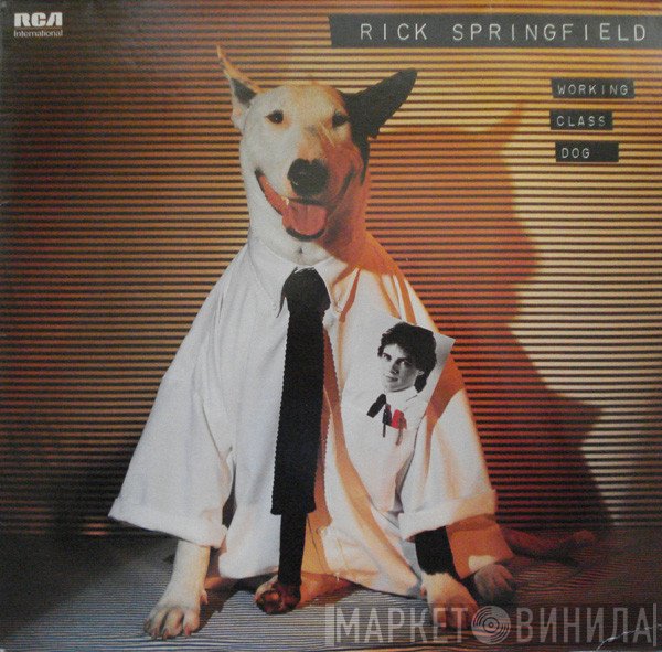 Rick Springfield  - Working Class Dog