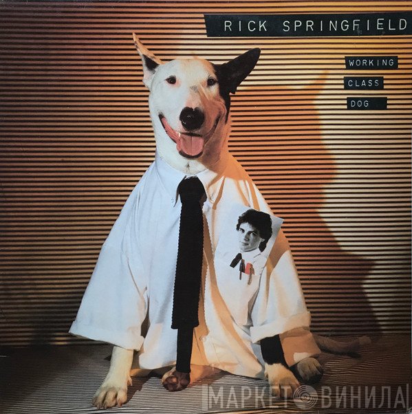 Rick Springfield  - Working Class Dog
